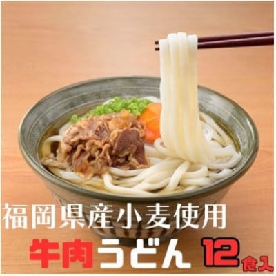 【毎月定期便】牛肉うどん 12食入り×全3回