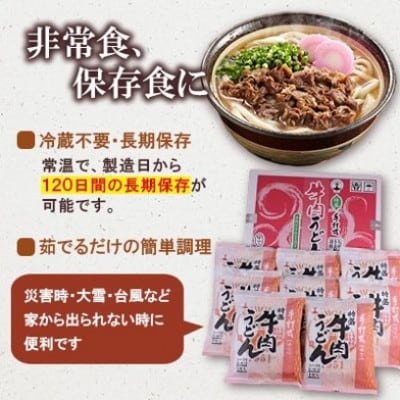 【毎月定期便】特盛牛肉うどん8食入り×全3回