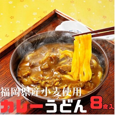 【毎月定期便】カレーうどん 8食入り×全3回
