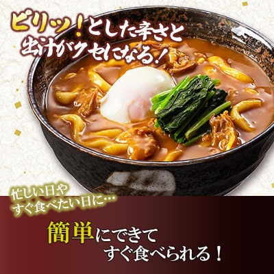 【毎月定期便】カレーうどん 8食入り×全3回