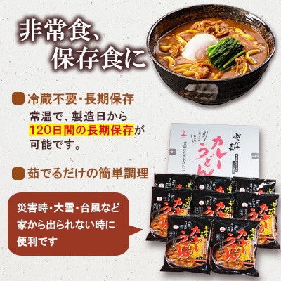 【毎月定期便】カレーうどん 8食入り×全3回