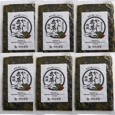からし高菜120g×6個セット