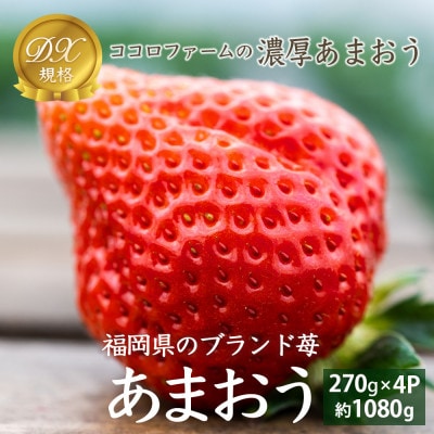 【先行受付 2027年1月発送開始】【さとふる限定】濃厚あまおうDX規格4パック【産地直送】