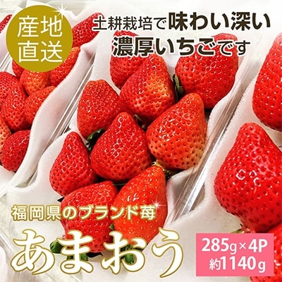 22年1月上旬から順次発送 濃厚あまおう4パック お礼品詳細 ふるさと納税なら さとふる