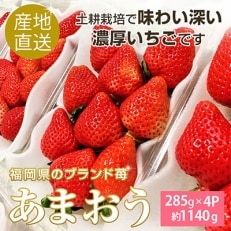 【産地直送】濃厚あまおう4パック【2022年1月上旬～2月下旬発送】