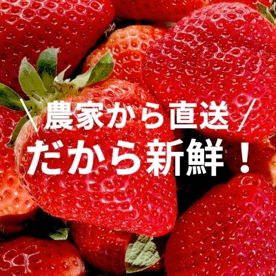 【産地直送】濃厚あまおう2パック【2022年1月上旬～2月下旬発送】
