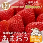 【先行受付 2026年2月中旬～3月中旬発送】こだわりの濃厚あまおう 285g×4パック【産地直送】