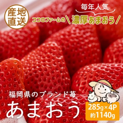 【先行受付 2026年2月中旬～3月中旬発送】こだわりの濃厚あまおう 285g×4パック【産地直送】