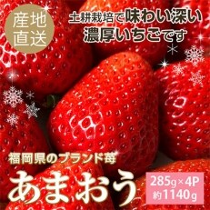 【2022年12月～2023年4月発送】こだわりの濃厚あまおう約285g×4パック【産地直送】