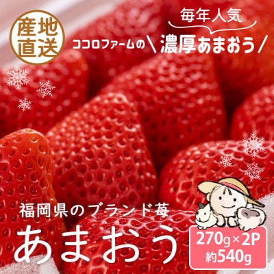 【先行受付 2026年12月発送開始】こだわりの濃厚あまおう約270g×2パック【産地直送】