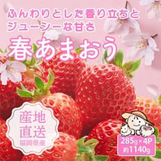 爽やか春あまおう【いちご】約285g&times;4パック【2024年2月下旬頃より発送開始】【産地直送】