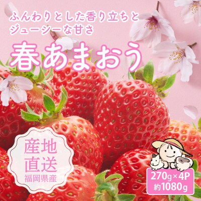 爽やか春あまおう【いちご】約270g×4パック【2027年2月下旬頃より発送開始】【産地直送】