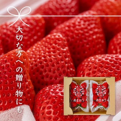 【先行受付 2026年1月発送開始】【さとふる限定】濃厚あまおうDX規格2パック【産地直送】
