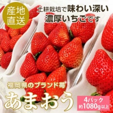 【2023年1月上旬から順次発送】濃厚あまおう270g以上×4パック