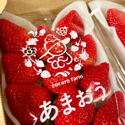 【2023年1月上旬から順次発送】濃厚あまおう270g以上×2パック