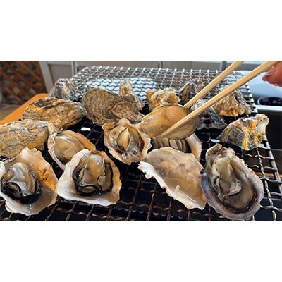 濃厚な旨味　宇島漁港直送　豊築漁協「豊前海一粒かき」2kg