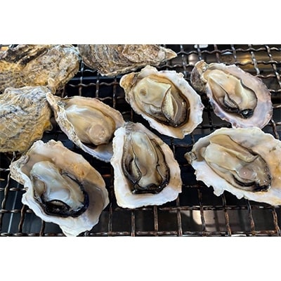 濃厚な旨味　宇島漁港直送　豊築漁協「豊前海一粒かき」3kg