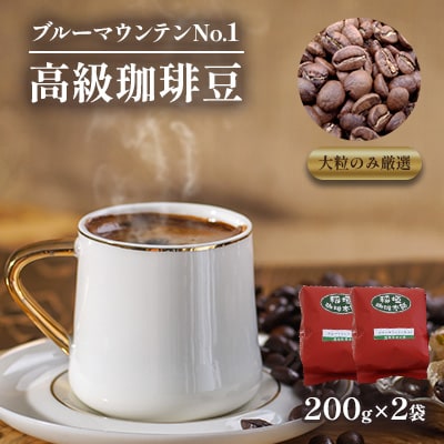 ブルーマウンテンNo1(豆)200g×2