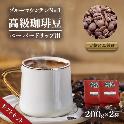 ブルーマウンテンNo1(ペーパー用)ギフトセット200g×2