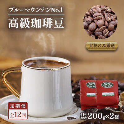 【毎月定期便】ブルーマウンテンNo1(豆)200g×2　全12回