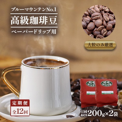 【毎月定期便】ブルーマウンテンNo1(ペーパー用)200g×2　全12回