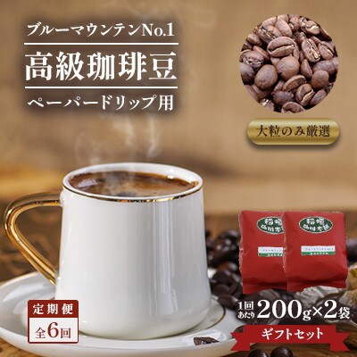 【毎月定期便】【のし付き】ブルーマウンテンNo1(ペーパー用)ギフトセット200g×2　全6回