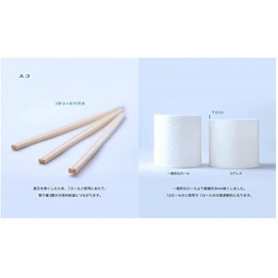 【毎月定期便】【細穴タイプ】コアレスS(シングル)130M　6ロール×8パック全12回