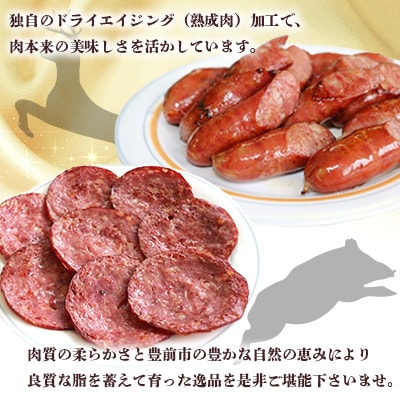 工場直送・鮮度良【熟成ジビエ肉】加工品セット