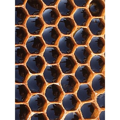 春の完熟はちみつ　里山(450g×1瓶)