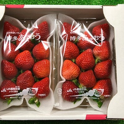 1月発送 いちご厳選デラックスg あまおう 福岡県豊前市産 270g以上 4パック お礼品詳細 ふるさと納税なら さとふる