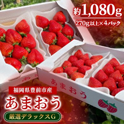 2月以降発送　いちご厳選デラックスG【あまおう】　福岡県豊前市産　270g以上×4パック