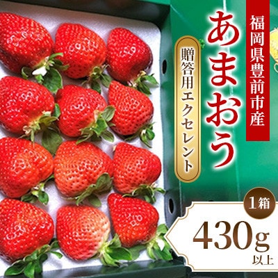 2月・3月発送　いちご贈答用エクセレント【あまおう】福岡県豊前市　430g以上×1箱