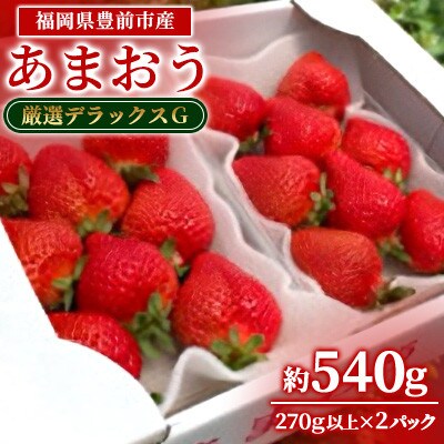 2月以降発送  いちご厳選デラックスG【あまおう】福岡県豊前市産　約270g×2パック