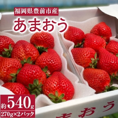 3月以降発送  いちご厳選デラックスG【あまおう】福岡県豊前市産　約270g×2パック