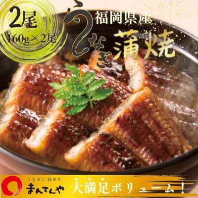 福岡県産うなぎ蒲焼大2尾(合計320g)