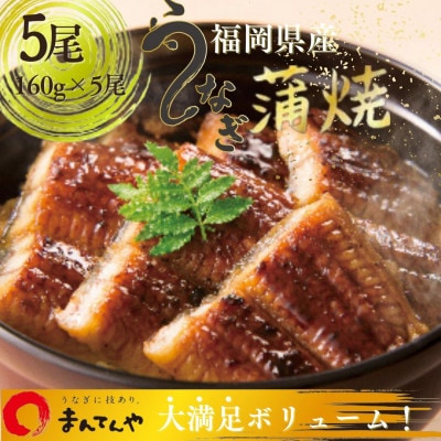 福岡県産うなぎ蒲焼大5尾(合計800g)