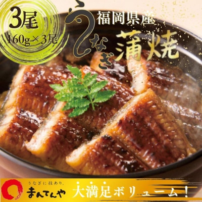 福岡県産うなぎ蒲焼大3尾(合計480g)(豊前市)