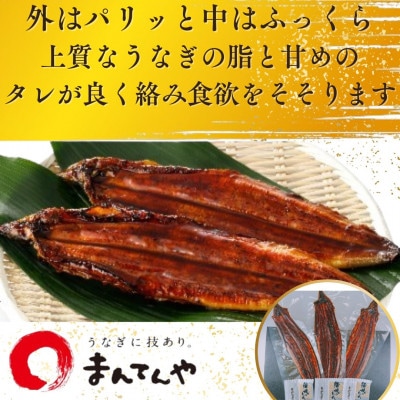 福岡県産うなぎ蒲焼大3尾(合計480g)(豊前市)