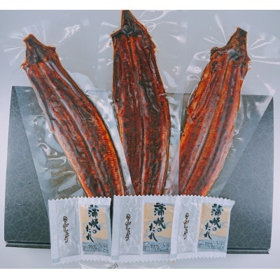 福岡県産うなぎ蒲焼 200～235gサイズ3尾(合計600g)(豊前市)