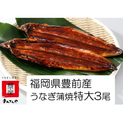 福岡県産うなぎ蒲焼 200～235gサイズ3尾(合計600g)(豊前市)