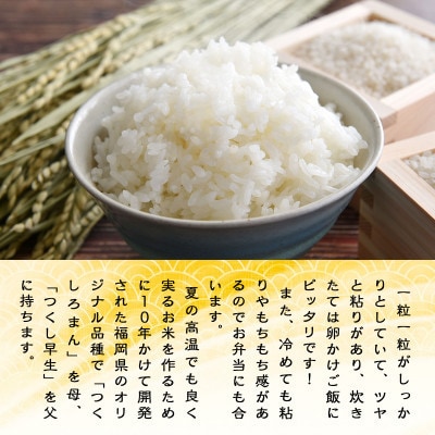 令和7年産 元気つくし2kg(豊前市)