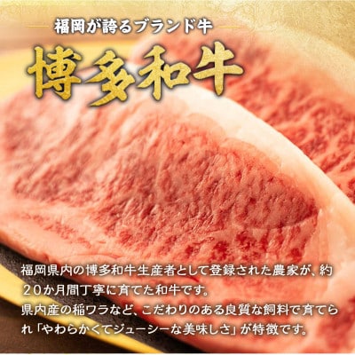 福岡県産 黒毛和牛 博多和牛サーロインステーキ 500g(豊前市)