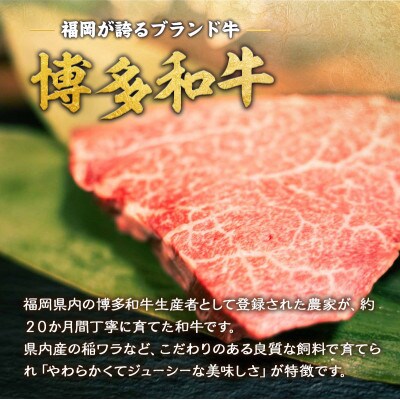 福岡県産 黒毛和牛 博多和牛ヒレステーキ 800g(豊前市)