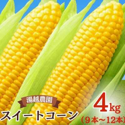 先行予約!農家直送 朝どれ スイートコーン 約4kg(9～12本入り)