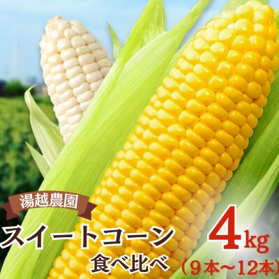 先行予約!農家直送 朝どれスイートコーン食べ比べ(白・黄) 約4kg(9～12本入り)