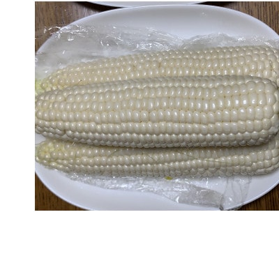 【とっても甘い】白いとうもろこし!!ロイシーコーン(約10本　約4kg～約4.5kg)