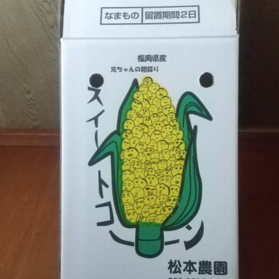 【2023年6月より順次発送】松本農園のスイートコーン約4kg(9～13本入り)