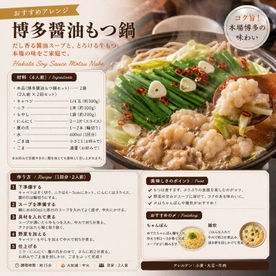 訳あり!博多醤油もつ鍋　20人前(2人前×10回セット)(豊前市)