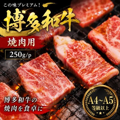 この味プレミアム!【A4～A5】博多和牛焼肉用　250g/p(豊前市)