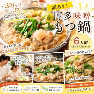 訳あり!博多味噌もつ鍋　6人前(2人前×3回セット)(豊前市)